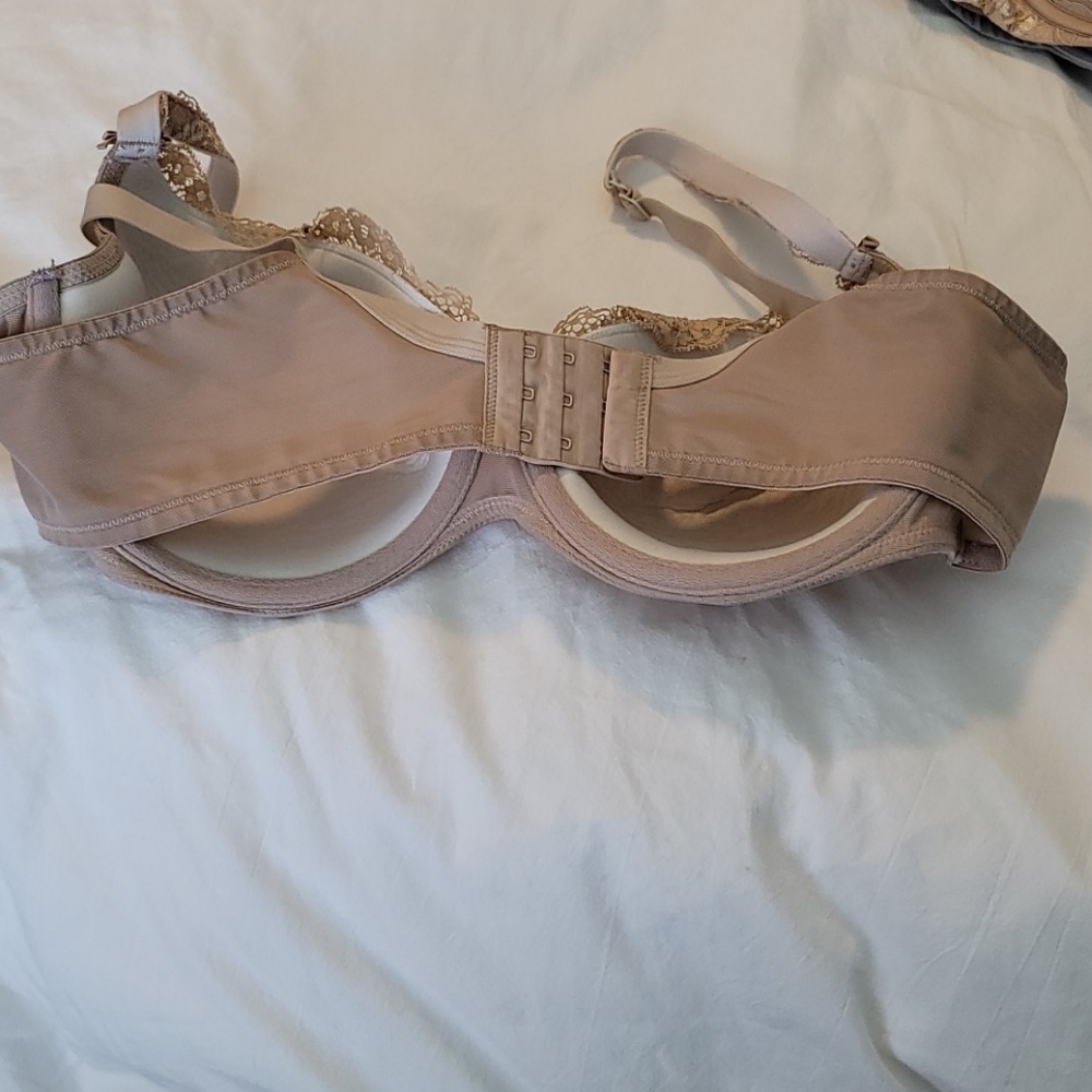Bra - Picture 4 of 4